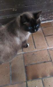 falone