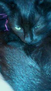 tinou
