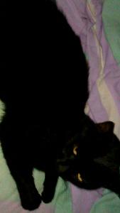 lenny