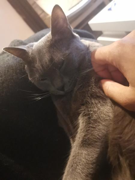 Oscar