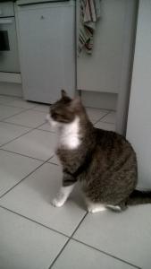 BERLIOZ