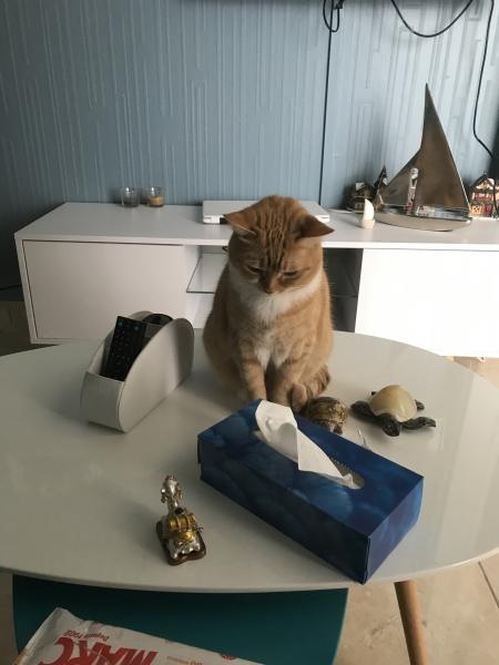 nala