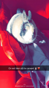Mimi