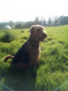 Milo