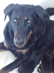 Izzie