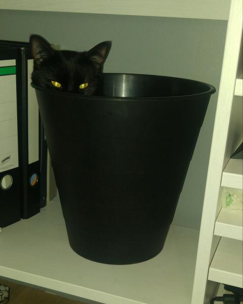Crocmou