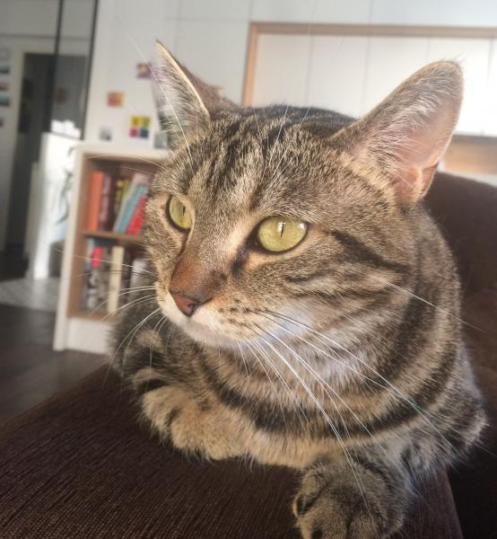 Lilou