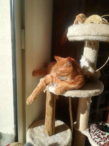 Titou