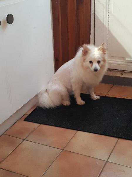 Diamante