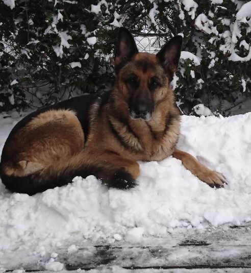 Athena