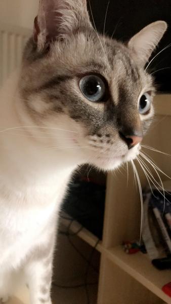 Moby