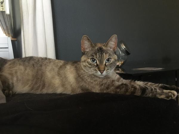 Mila