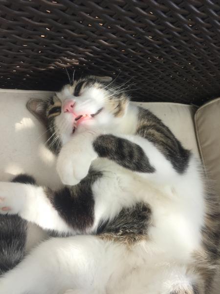 Max