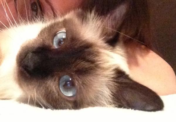 Margot