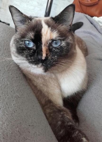 Kika