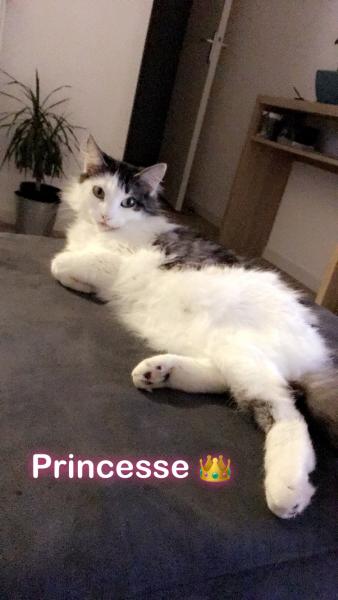 Kimy