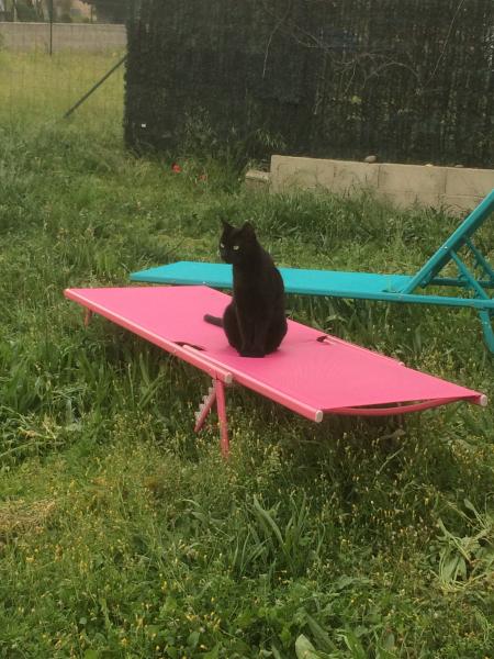 Mimi