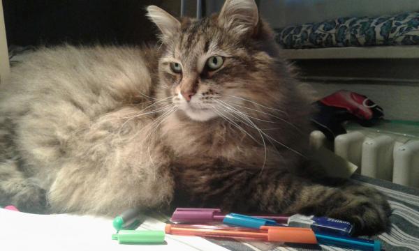 Boris