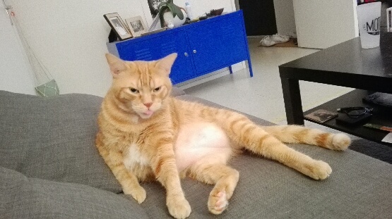 Mimi
