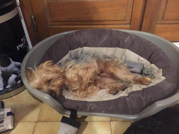 Loumi