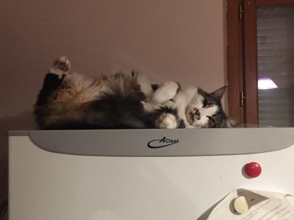 Caramel