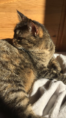 Poupette