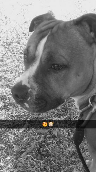 Murphy