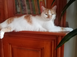 Olympe