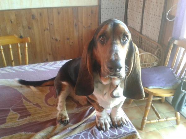 Léon