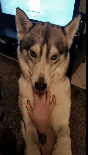 Luna