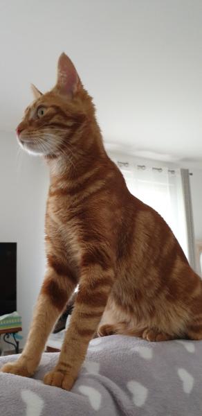 Olympe