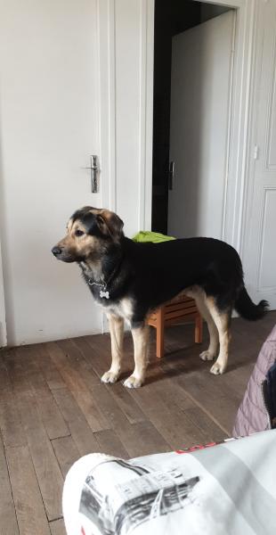 Diego