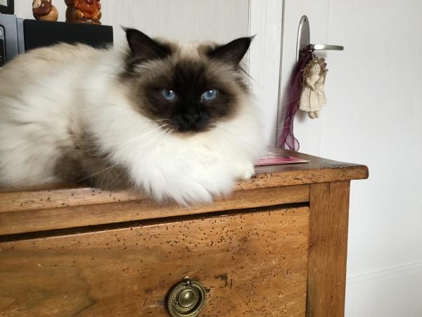 Nell