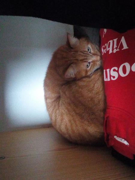 Caramel