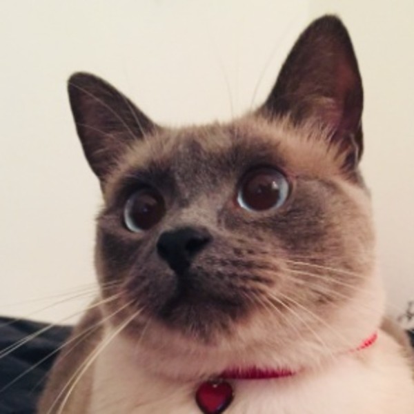 NAYA