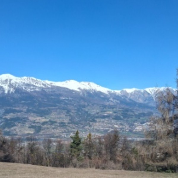 Kikine
