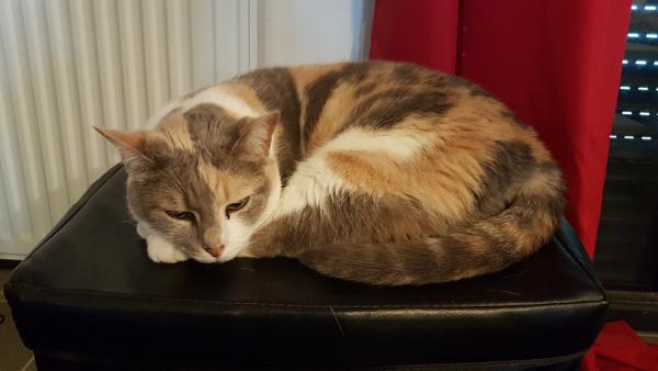 KIARA