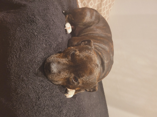 Patch