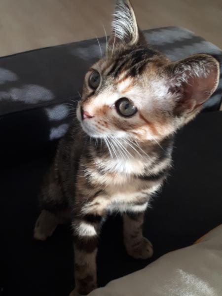 Charlie