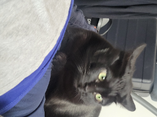 AJAX