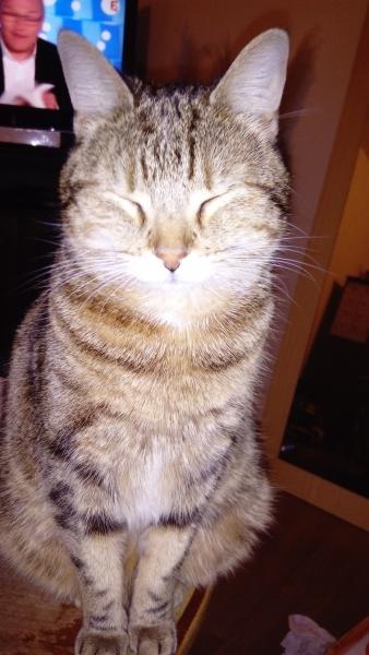 Minette