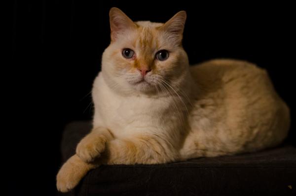 Winnie