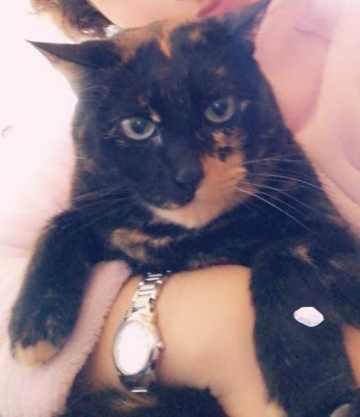 Mimi