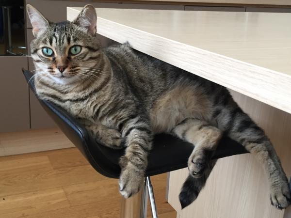 Léo