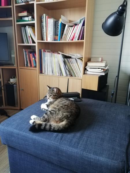 Greta