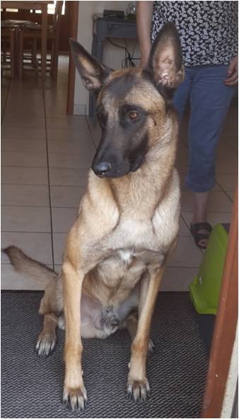 Narco