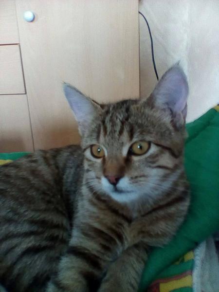 Léa