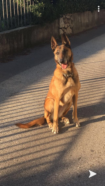 Gina
