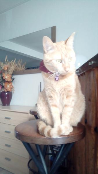 EMIE