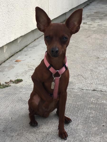 Nina